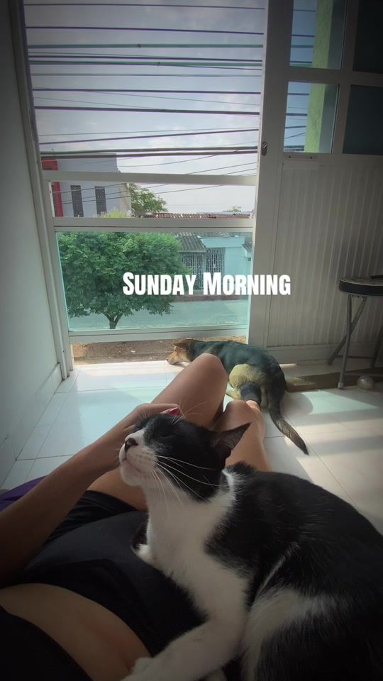 TikTok video thumbnail by cattalolo