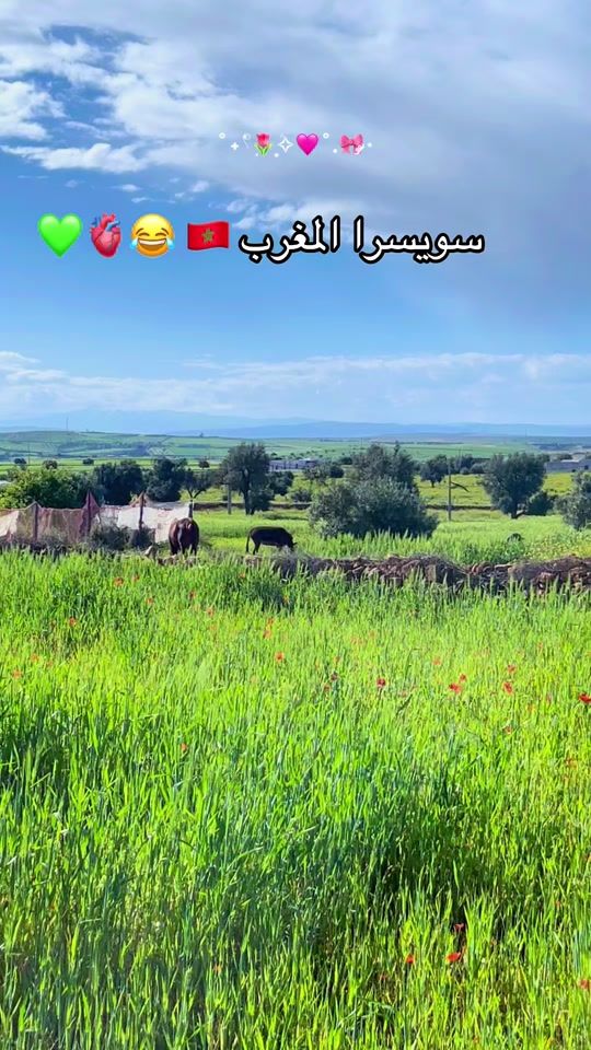 TikTok video thumbnail by rayhanastore6