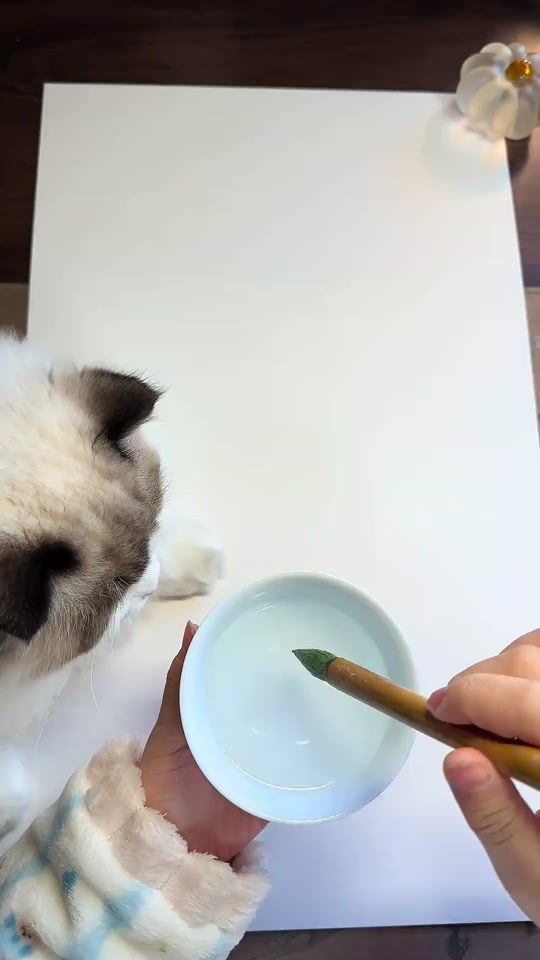 TikTok video thumbnail by linexm0901