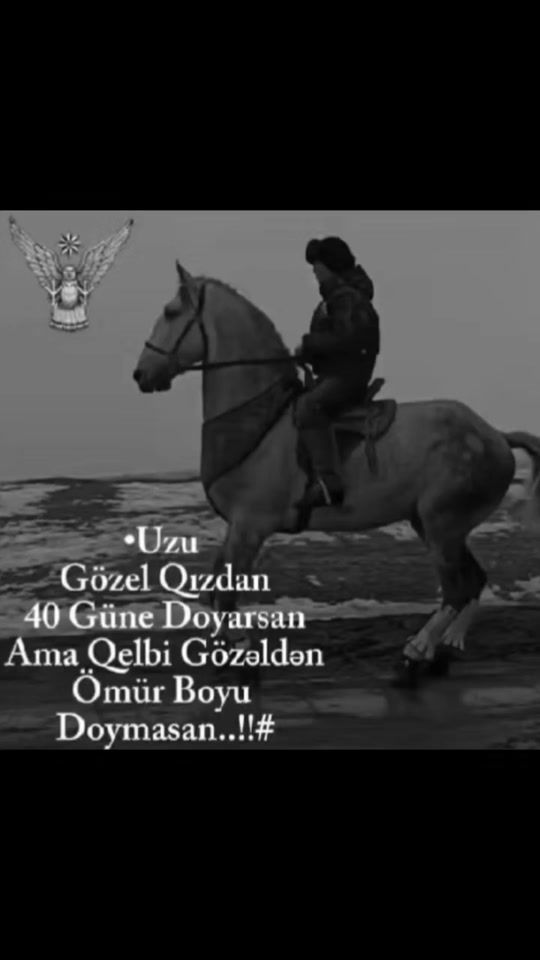 TikTok video thumbnail by murad_2223_