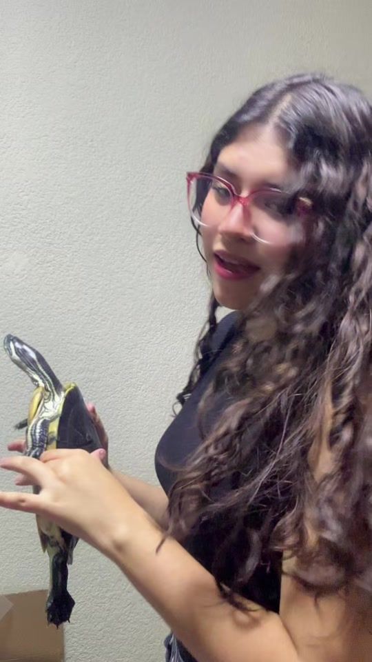 TikTok video thumbnail by dairagameroo