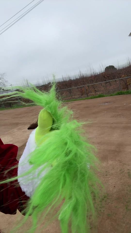 TikTok video thumbnail by guerito_489