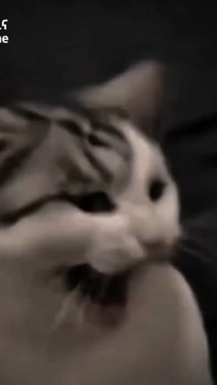 TikTok video thumbnail by tgod__