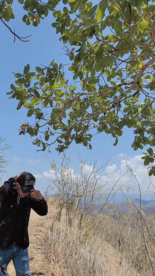 TikTok video thumbnail by dayco502