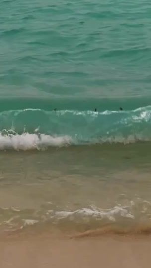 TikTok video thumbnail by hicc.ccups