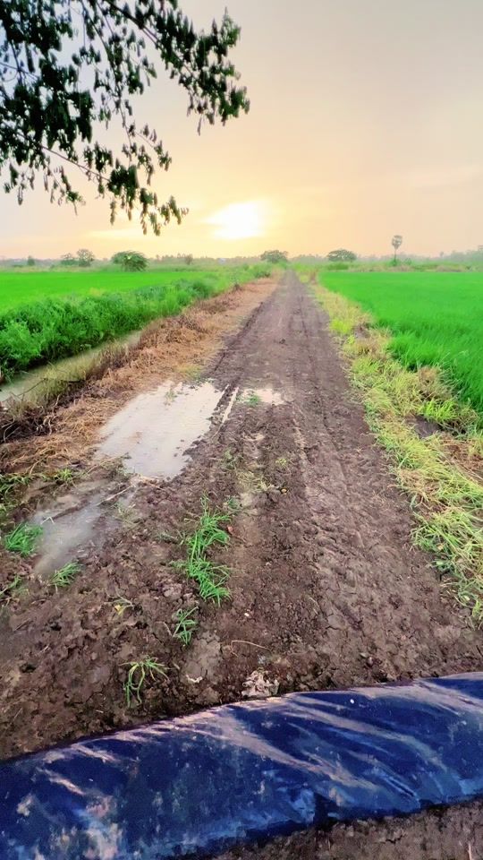 TikTok video thumbnail by ah.lik.77