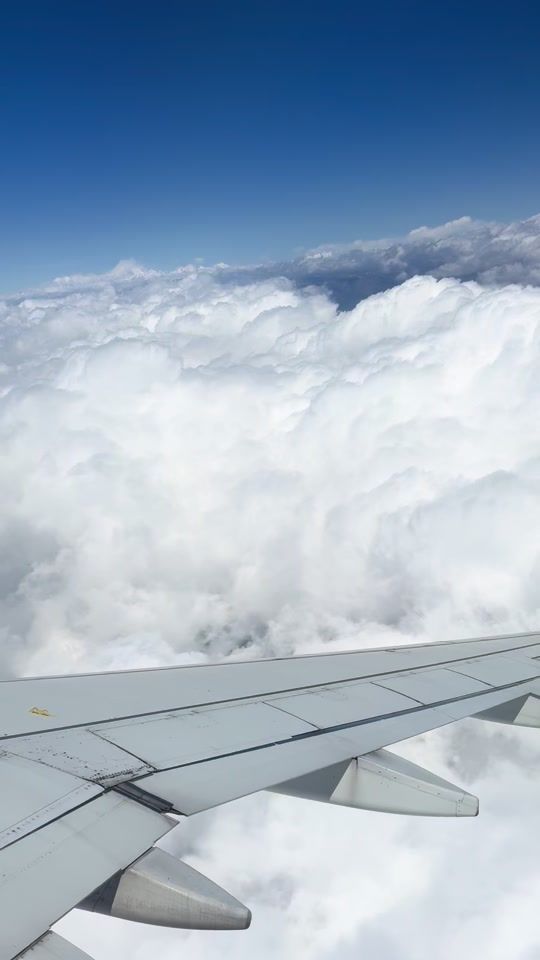 TikTok video thumbnail by tsheringb2