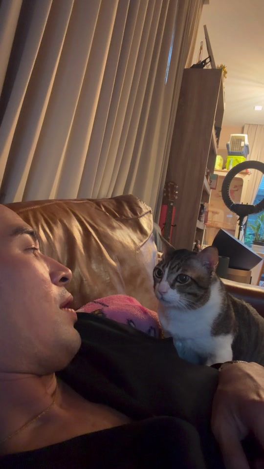 TikTok video thumbnail by great_warintorn