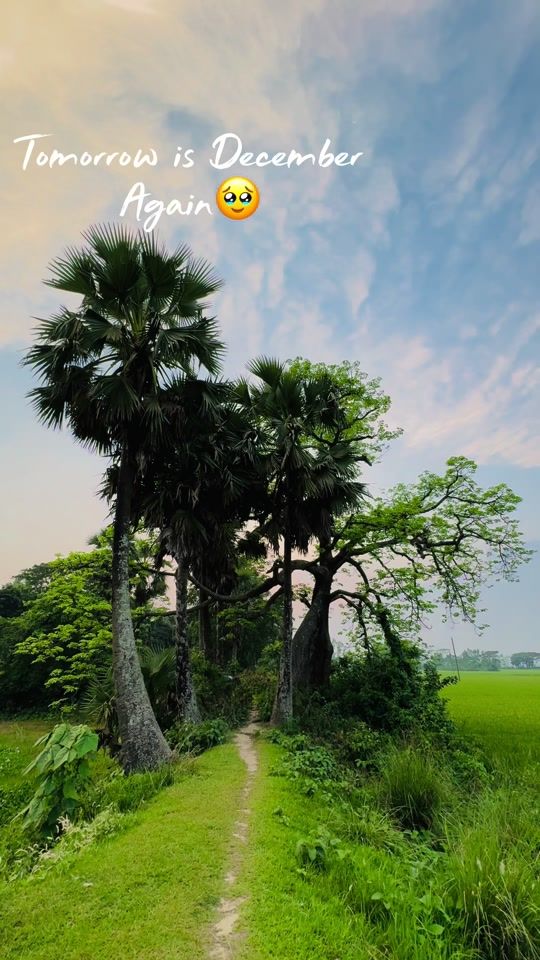 TikTok video thumbnail by f.h.rafi