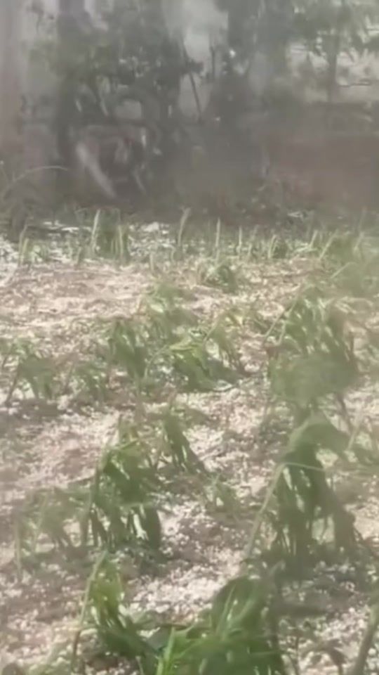 TikTok video thumbnail by daivu7626