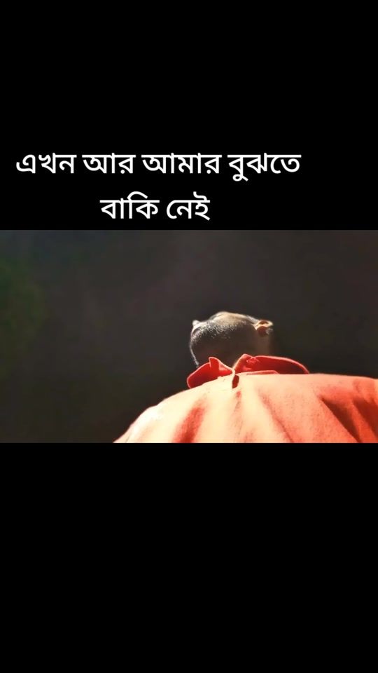 TikTok video thumbnail by probashitawhidmia