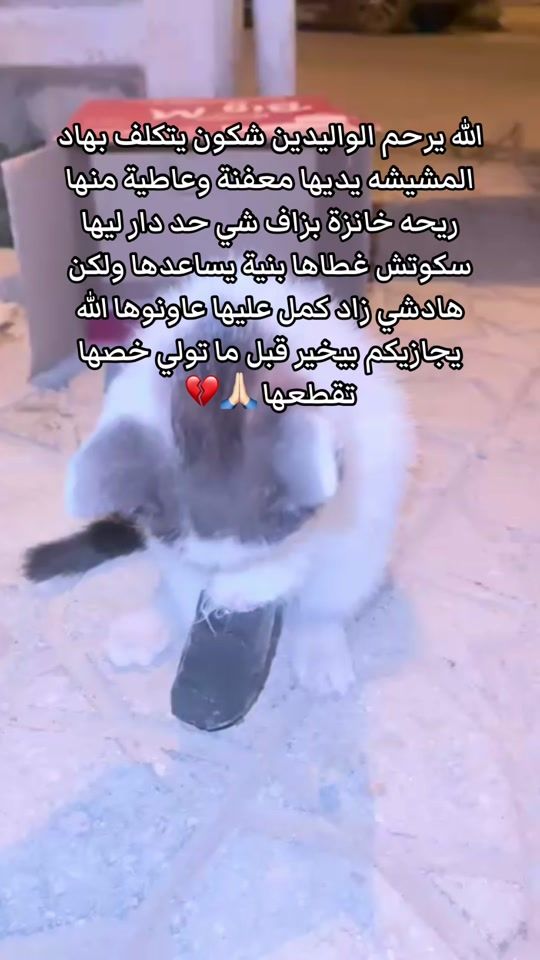 TikTok video thumbnail by soukicat54