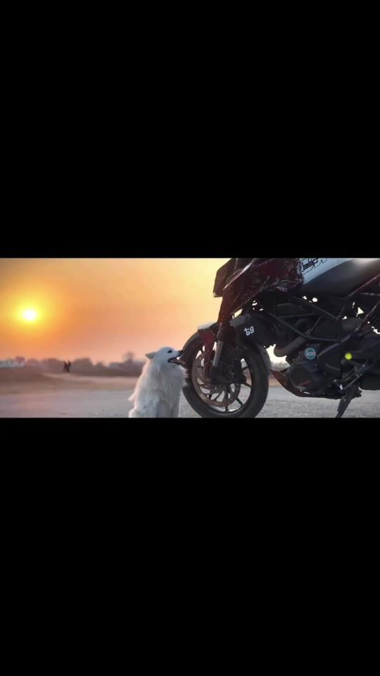 TikTok video thumbnail by bikers_125