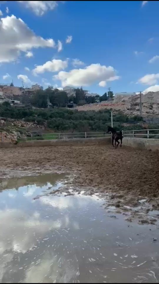 TikTok video thumbnail by khaled12kurd
