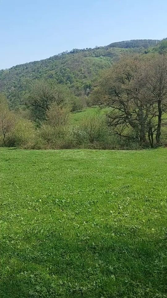 TikTok video thumbnail by samir5o