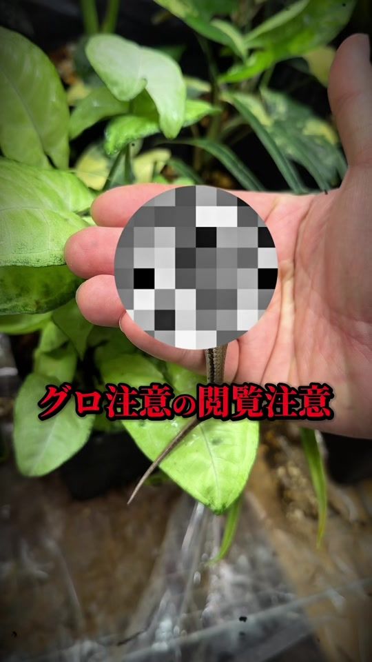 TikTok video thumbnail by always_summer_vacation