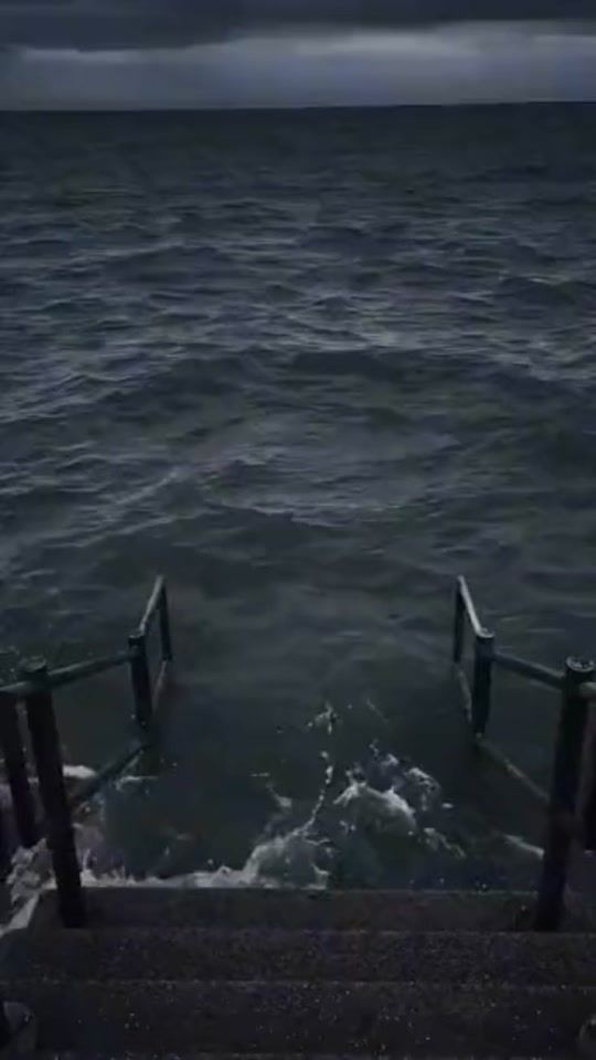 TikTok video thumbnail by com.niito