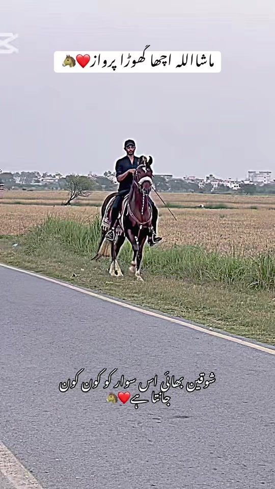 TikTok video thumbnail by 0.gondal