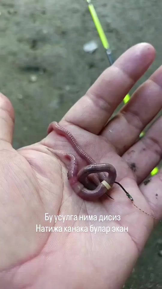 TikTok video thumbnail by mr.eib