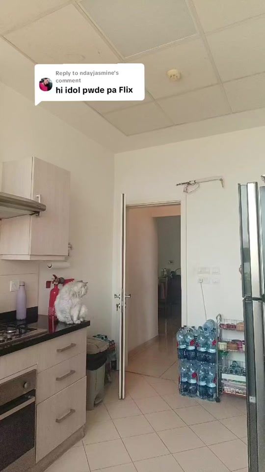 TikTok video thumbnail by sinaingmo_