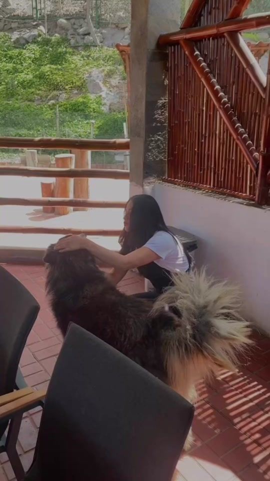 TikTok video thumbnail by sandycerdanoficial