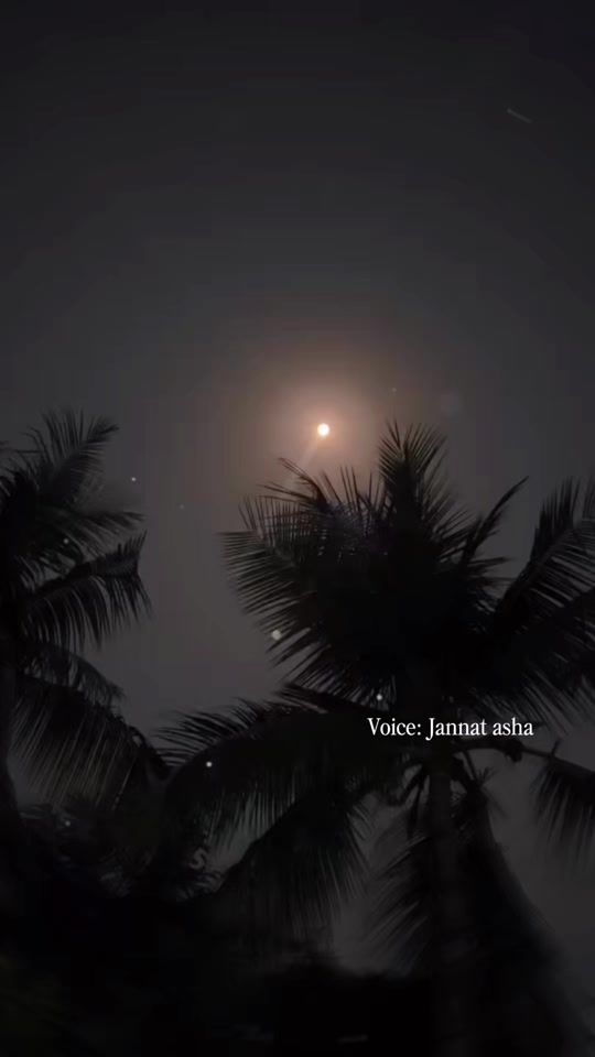 TikTok video thumbnail by __jannatasha_