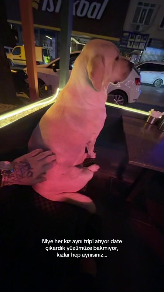 TikTok video thumbnail by sametbsda