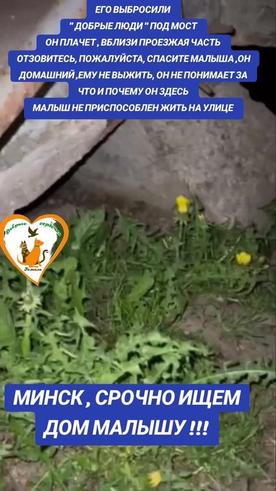 TikTok video thumbnail by user780749013477