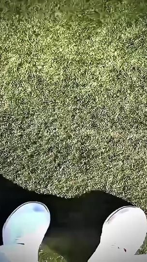 TikTok video thumbnail by editor_bananchik