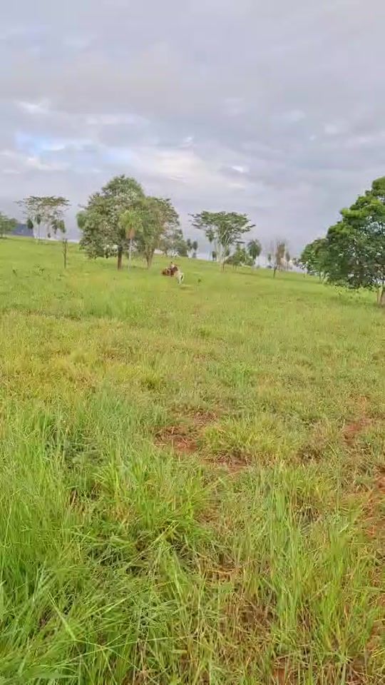 TikTok video thumbnail by wuilian.sanche