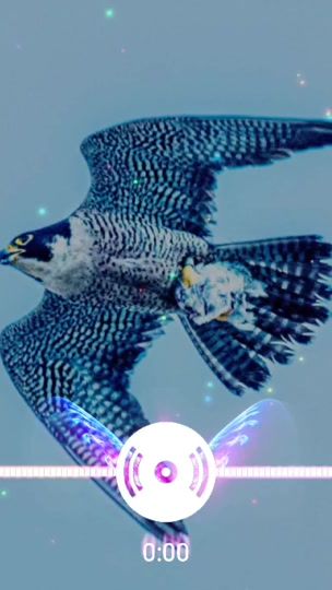 TikTok video thumbnail by tomas.2026k