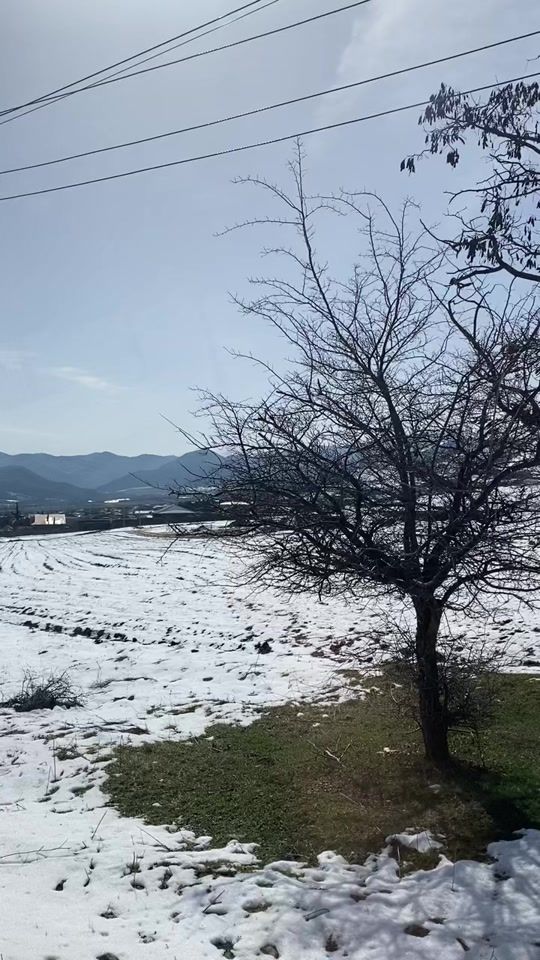TikTok video thumbnail by gulka.32