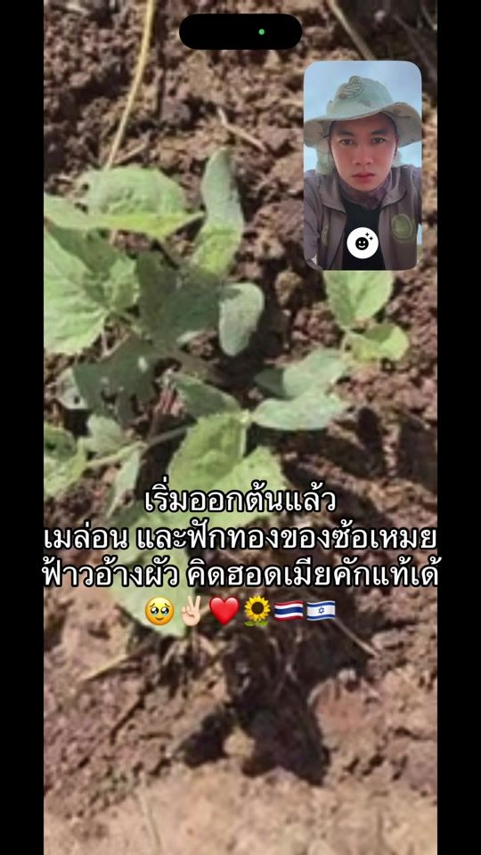 TikTok video thumbnail by yutthana1110