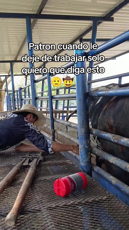 TikTok video thumbnail by danier_mau