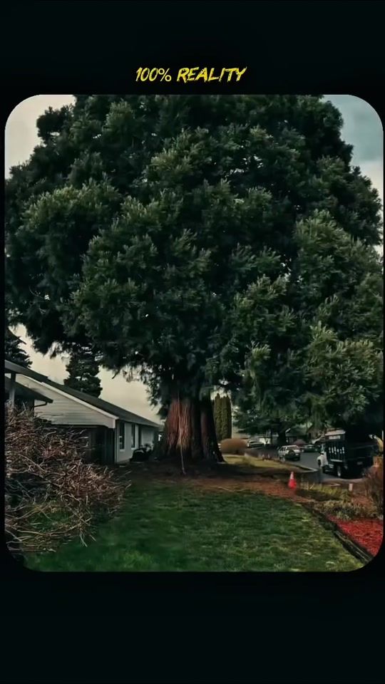 TikTok video thumbnail by war.sujal