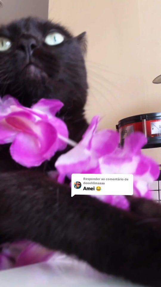 TikTok video thumbnail by romeo_eas_meninas