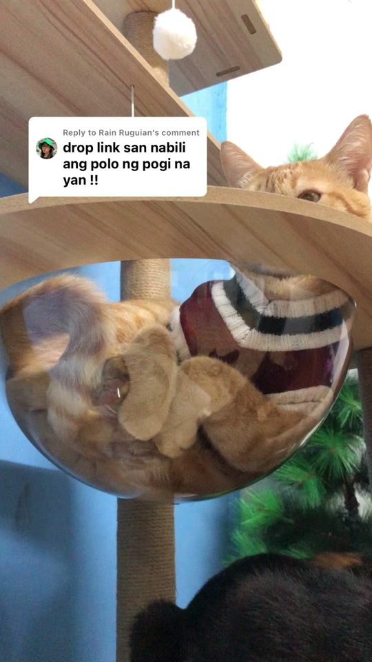 TikTok video thumbnail by pemidgzmn