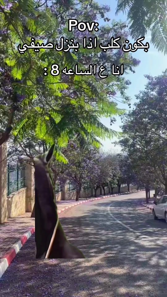 TikTok video thumbnail by mohammmad.a.jallad