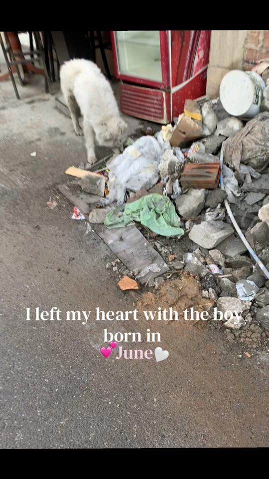 TikTok video thumbnail by xx_biqs