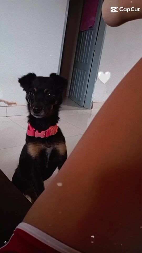 TikTok video thumbnail by ahellenzinha