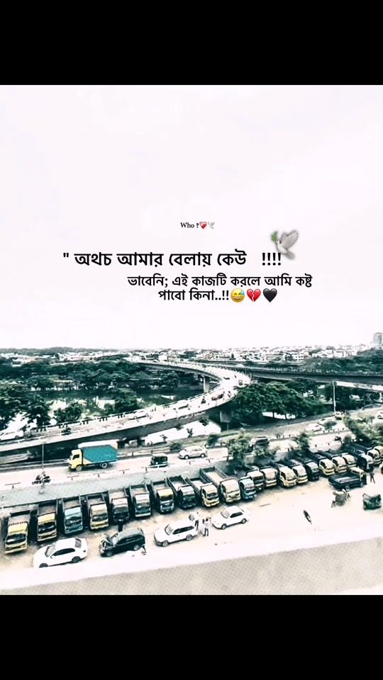 TikTok video thumbnail by present_life_mahmud_01