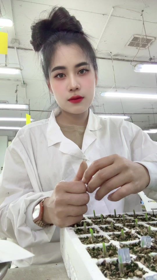 TikTok video thumbnail by wanllapa_poppy