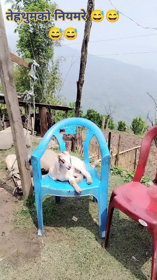 TikTok video thumbnail by kanchha70