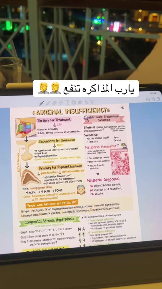 TikTok video thumbnail by ebrahimadelmeherb