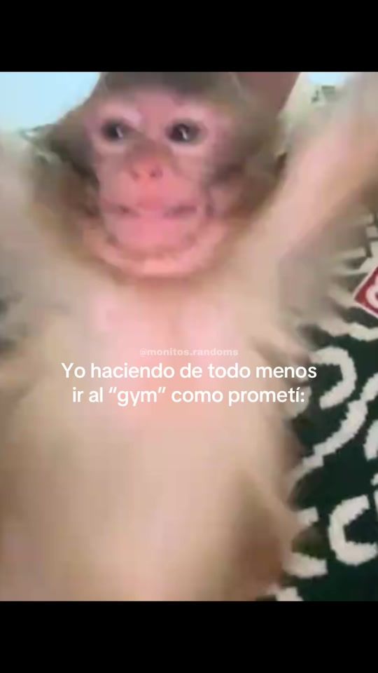 TikTok video thumbnail by monitos.randoms