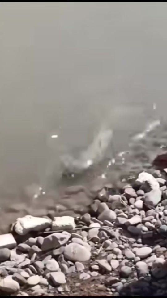 TikTok video thumbnail by pema8856