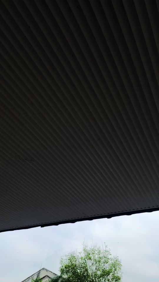 TikTok video thumbnail by iamlynesh_