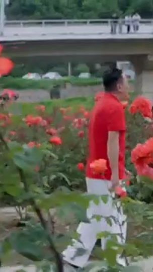 TikTok video thumbnail by tshering3dhendup