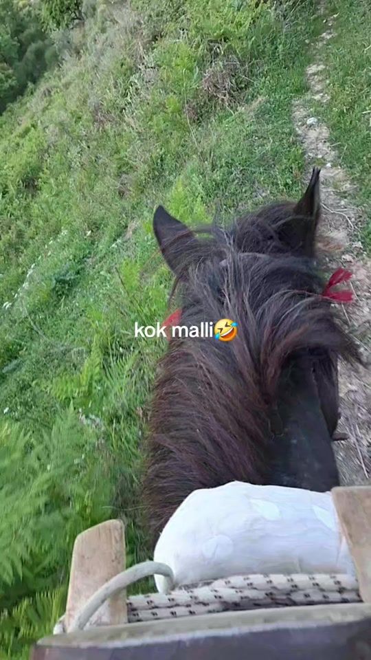 TikTok video thumbnail by ferma617