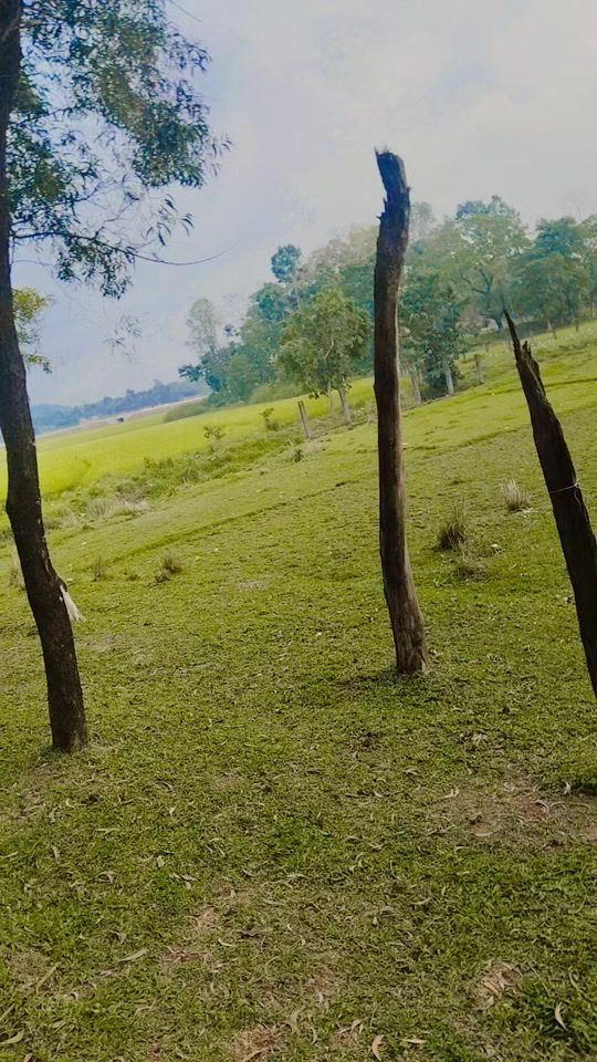 TikTok video thumbnail by zamilaakter